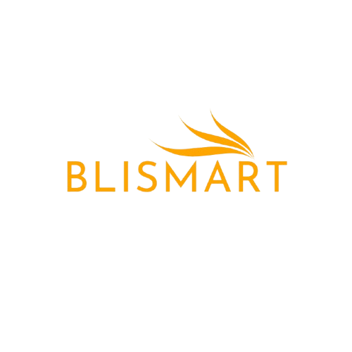 blismart.store